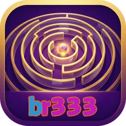 br333